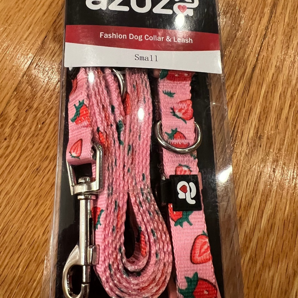 dog puppy strawberry collar and leash